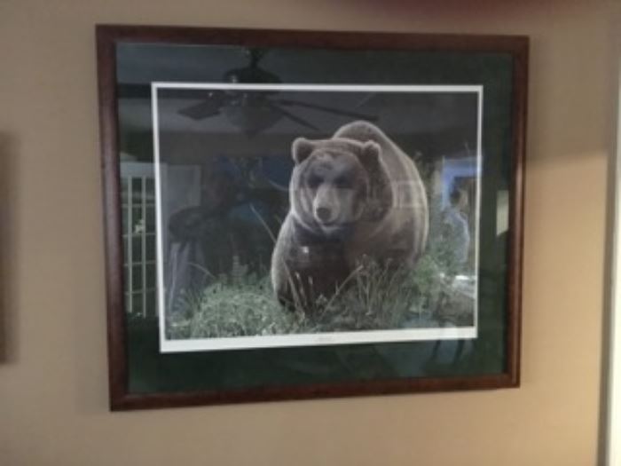 Charles Frace Grizzly Bear Framed Art ~ Artist Proof
