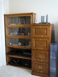 Wood Filing Cabinet and Beautiful Law Bookshelves