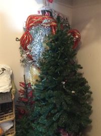 Christmas Trees - Big, Medium and Just Right!