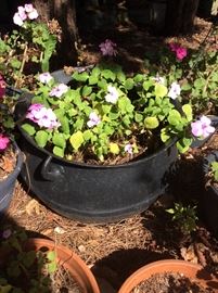 Cast Iron Witches Pot - Perfect for Halloween! 