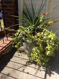 Large Floral Urns - complete with flowers - Please bring help to move these items!