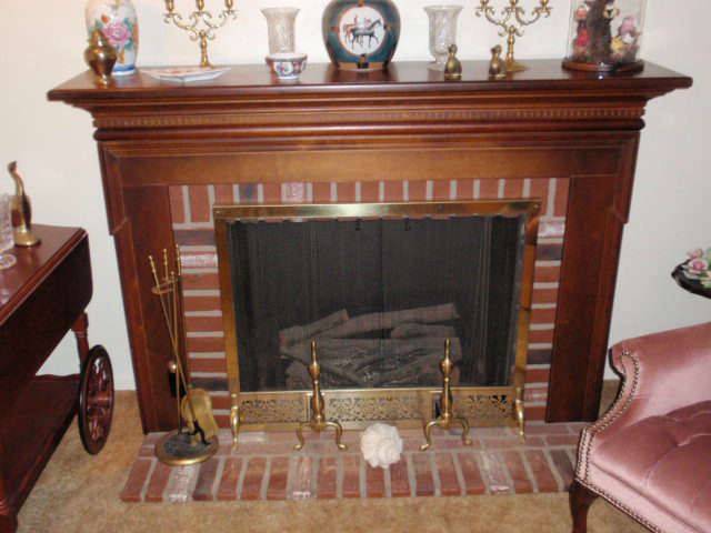 Electric Fire Place (can be converted to gas)