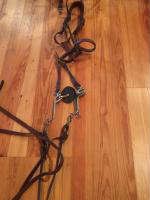 halter and bridle