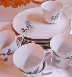 Snack set with bluebonnet design.