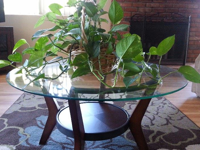 coffee table with round glass top