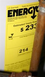 2 50 Gal Water Heaters (1yr old)