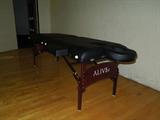 64.  Alive “e” massage table – Asking:  $160