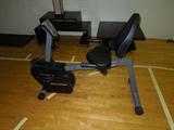 58.  Misc. gym equipment – professional scale, weight bench & weights, barbells, Precor treadmill, Pacific fitness machine, Schwinn recumbent bike, Proform glide – Asking:  $15 - $350