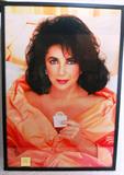 Liz Taylor w/ Condom November 1992 Vanity Fair cover photo/poster framed