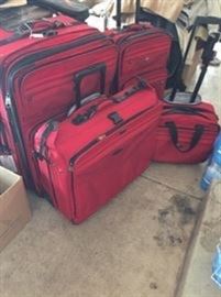 Delaney luggage