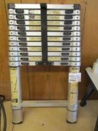 16 Ft. Pullout Ladder Compact