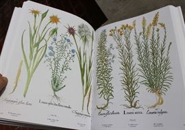 The Besler Florilegium: Plants of the Four Seasons

Very big, very heavy and in excellect condition. Published by Abrams. Printed in Italy. Copyright 1987.
English translation Copyright 1989. Covers plants from all four seasons, trees and shrubs etc. Beautifully detailed illustration. Comes with hardcover sleeve. 