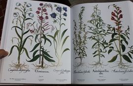 The Besler Florilegium: Plants of the Four Seasons

Very big, very heavy and in excellect condition. Published by Abrams. Printed in Italy. Copyright 1987.
English translation Copyright 1989. Covers plants from all four seasons, trees and shrubs etc. Beautifully detailed illustration. Comes with hardcover sleeve. 