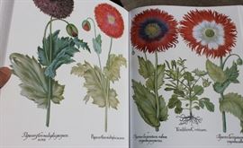 The Besler Florilegium: Plants of the Four Seasons

Very big, very heavy and in excellect condition. Published by Abrams. Printed in Italy. Copyright 1987.
English translation Copyright 1989. Covers plants from all four seasons, trees and shrubs etc. Beautifully detailed illustration. Comes with hardcover sleeve. 