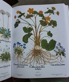 The Besler Florilegium: Plants of the Four Seasons

Very big, very heavy and in excellect condition. Published by Abrams. Printed in Italy. Copyright 1987.
English translation Copyright 1989. Covers plants from all four seasons, trees and shrubs etc. Beautifully detailed illustration. Comes with hardcover sleeve. 
