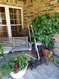 swing and grill, plants