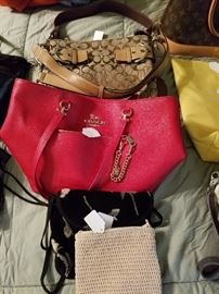 Coach, Brighton, and a Louis