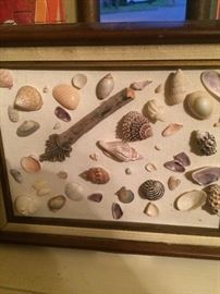 Framed shells