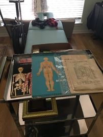 anatomy physiognmy charts