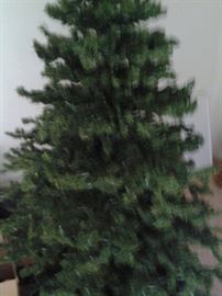 Lighted Christmas Tree