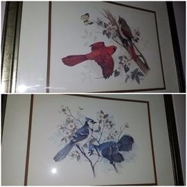 Framed vintage bird prints