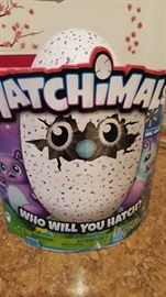 Hatchimal! Brand new! Recently purchased on a vacation to Mexico and bought one too many.