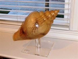 Carved Wood Conch Shell on Acrylic Stand