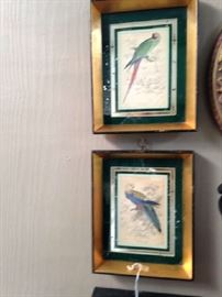 Pr. of Vintage Bird Engravings