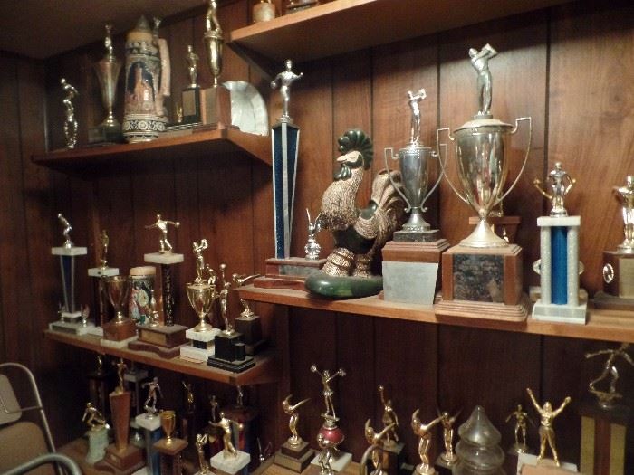 Tons of trophies 