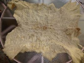 Animal Pelt