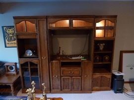 Entertainment cabinet lighted glass front, slide out spaces for dvd/vhs/cd's...Bose system