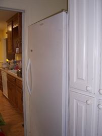 Frost Free Upright Freezer