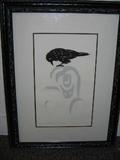 Ravens Revenge. Numbered