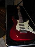 Peavey with speakers. Never been played according to owner.