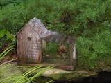 Bird House by Lily Pond