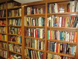 History, Language, Novels, etc. etc.