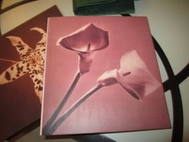 BOOK OF ROBERT MAPPLETHORPE ART PIECES