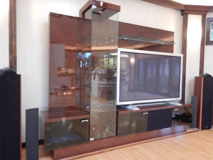 Some pretty serious audio visual and wall unit.