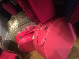 Pink vanity suit cases 
