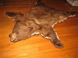 Bear Skin Rug