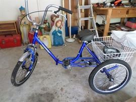 What fun! Three Wheel Bike with Basket
