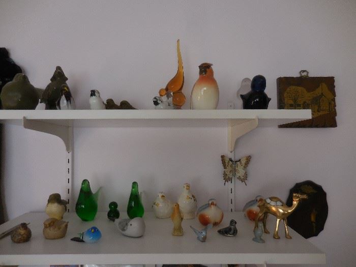 Collection of Animals, Birds