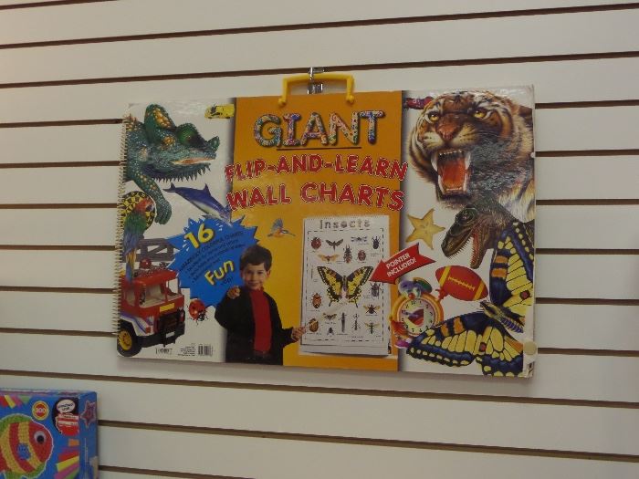 Giant flip and learn activity wall charts!