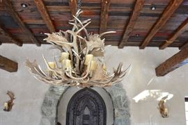 Antler Chandelier