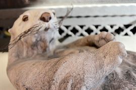 Otter Sculpture