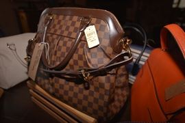 Louis Vuitton Trevi PM Handbag