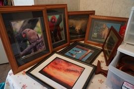 Framed nature photos
