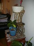 Nice iron indoor plant stand.  Many plants from succulents to cacti