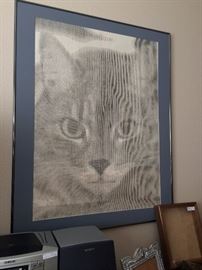 Large picture of a cat