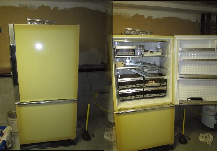 Basement--Refrigerator

